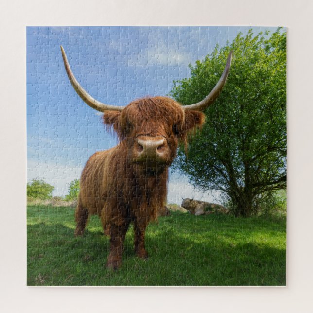 Magnificent Scottish Highland Cow Jigsaw Puzzle (Vertical)