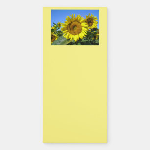 "Magnificent Sunflower!" Magnetic Notepad