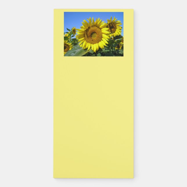 "Magnificent Sunflower!" Magnetic Notepad (Front)