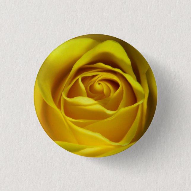 Magnificent yellow rose macro picture button (Front)
