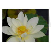 Magnificient Lotus Greeting Card (Front Horizontal)