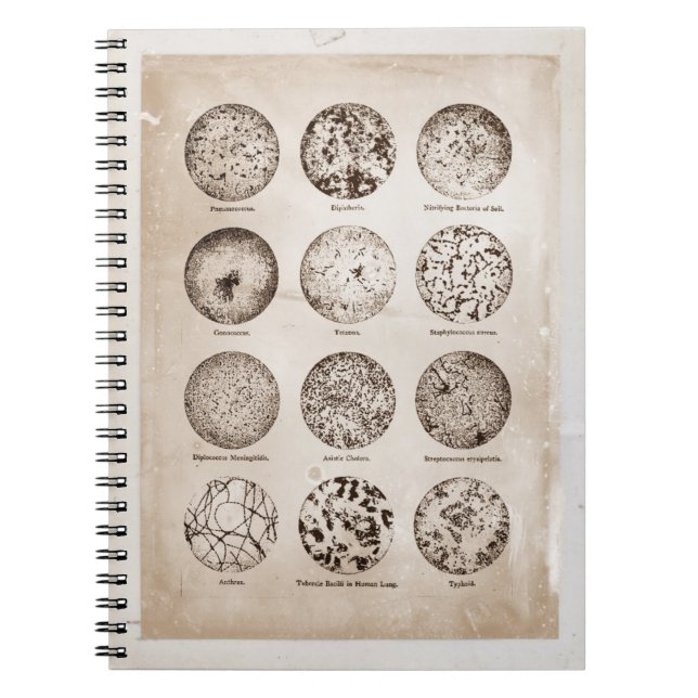 Magnified Bacteria Vintage Medicine Chart Notebook (Front)