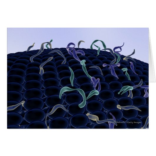 Magnified cell membrane (Front Horizontal)
