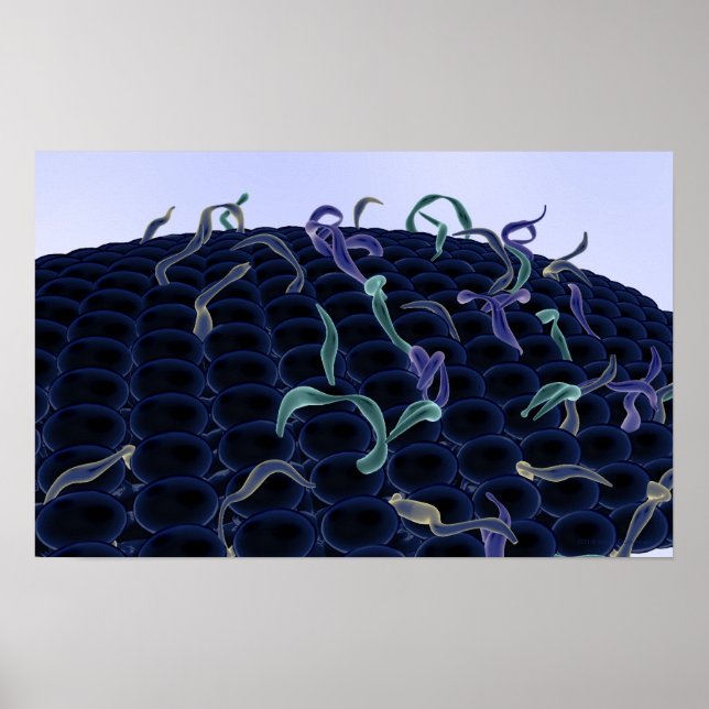 Magnified cell membrane poster (Front)