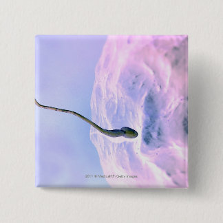 Magnified look at a sperm fertilizing an egg button