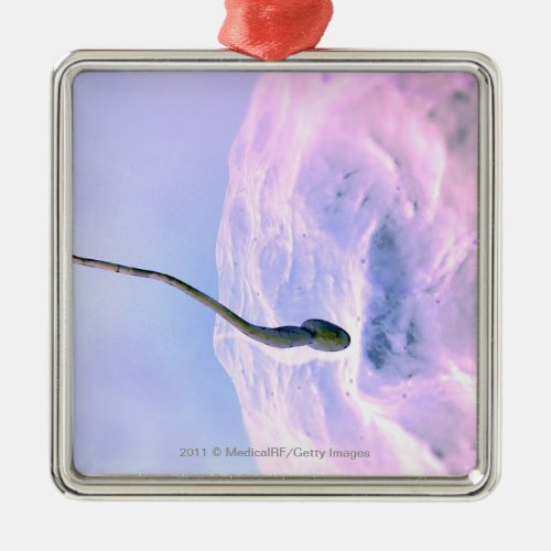 Magnified look at a sperm fertilizing an egg metal ornament