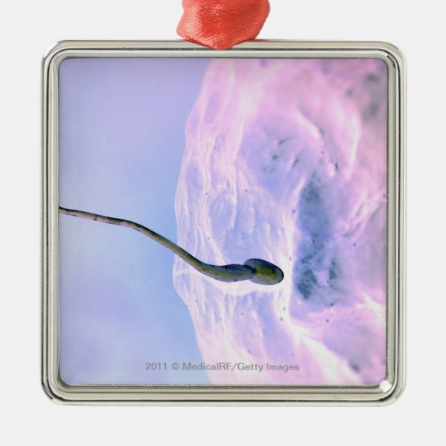 Magnified look at a sperm fertilizing an egg metal ornament (Front)
