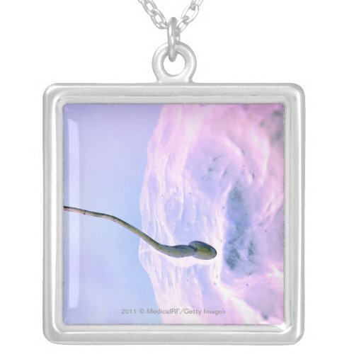 Magnified look at a sperm fertilizing an egg silver plated necklace
