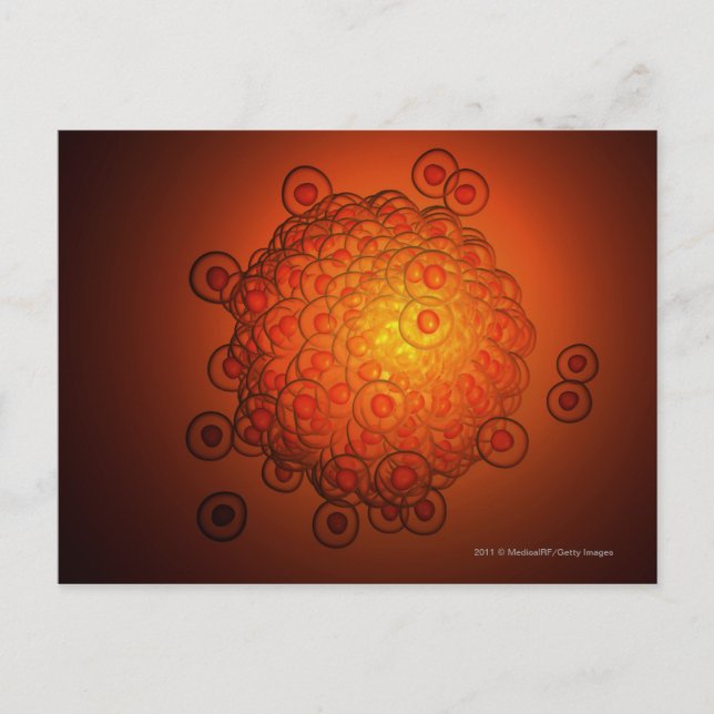 Magnified look at an ovum postcard (Front)