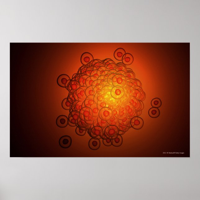 Magnified look at an ovum poster (Front)