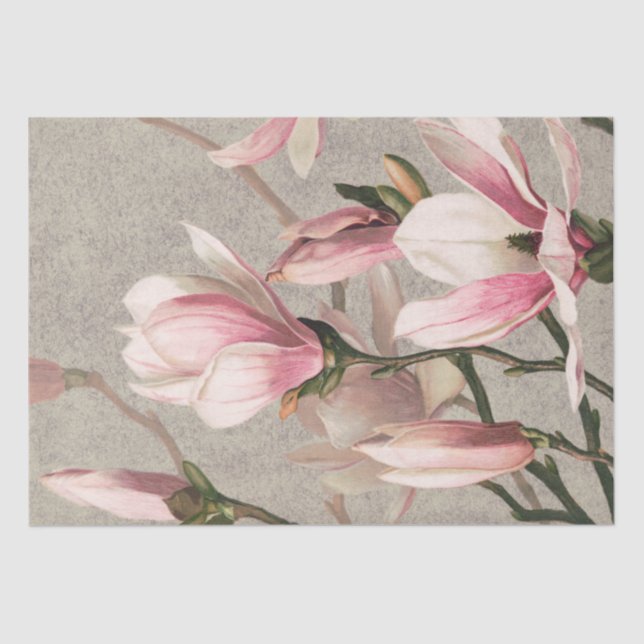 Magnolia (1886) tissue paper (Front)