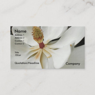 MAGNOLIA 3 BUSINESS CARD