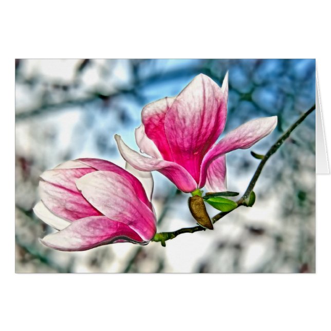 Magnolia And Blue Sky Cards (Front Horizontal)