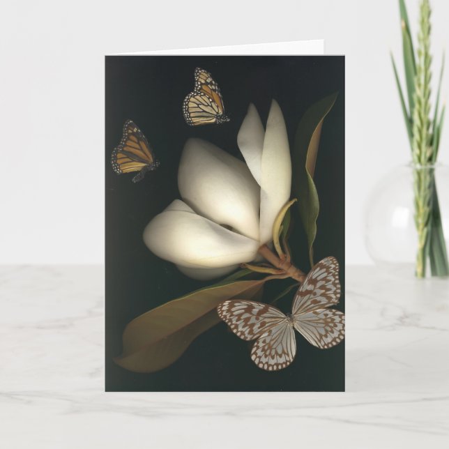 magnolia and butterflies1 note card (Front)