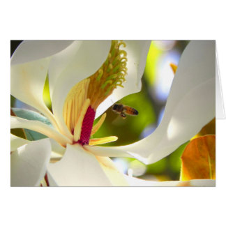 Magnolia and Honey Bee Card