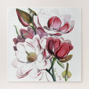 Magnolia Asian Flower Vintage Old Illustration Jigsaw Puzzle