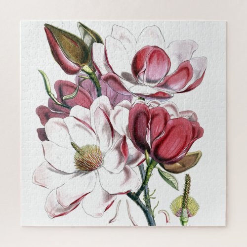 Magnolia Asian Flower Vintage Old Illustration Jigsaw Puzzle