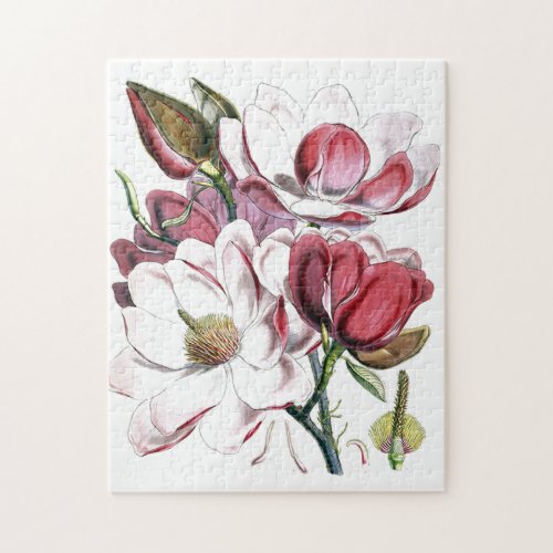 Magnolia Asian Flower Vintage Old Illustration Jigsaw Puzzle