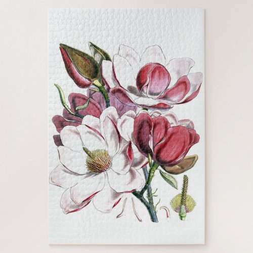 Magnolia Asian Flower Vintage Old Illustration Jigsaw Puzzle