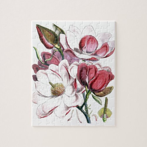 Magnolia Asian Flower Vintage Old Illustration Jigsaw Puzzle