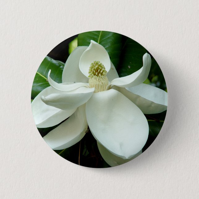 Magnolia Bloom Button (Front)