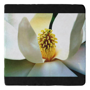 Magnolia Bloom Macro Trivet