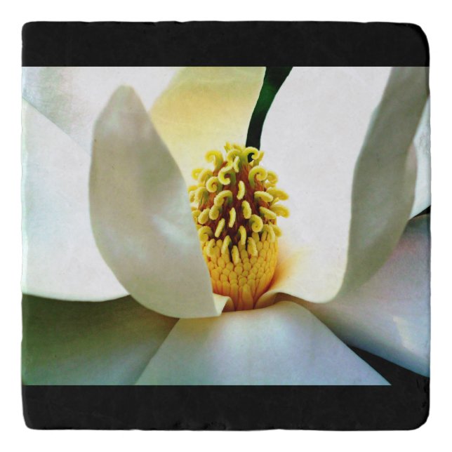 Magnolia Bloom Macro Trivet (Front)