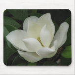 Magnolia Bloom Mouse Pad<br><div class="desc">Magnolia Bloom</div>
