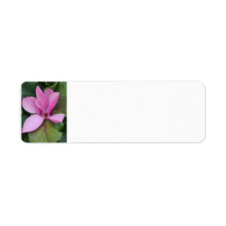 Magnolia Bloom Return Address Label