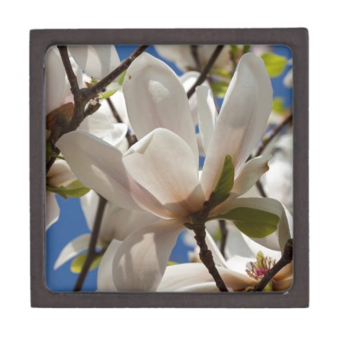 magnolia blooming jewellery box