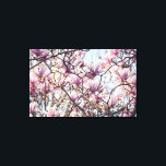 Magnolia blooming tree canvas print<br><div class="desc">Pink magnolia blooming tree in a close up image by ©Chiara Cattaruzzi photography</div>