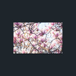 Magnolia blooming tree canvas print<br><div class="desc">Pink magnolia blooming tree in a close up image by ©Chiara Cattaruzzi photography</div>