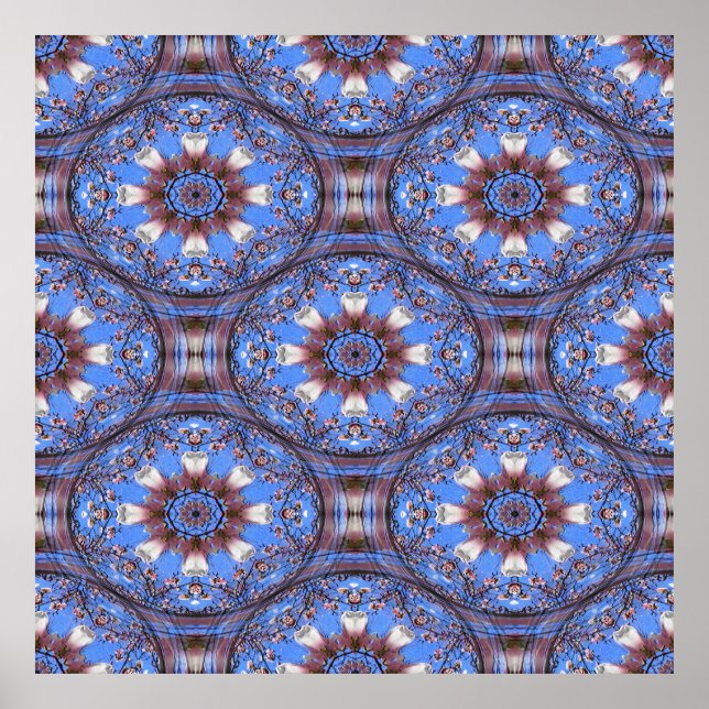 Magnolia Blooms...... Poster (Front)