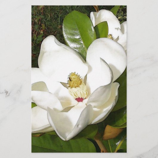 Magnolia Blossom (Front)