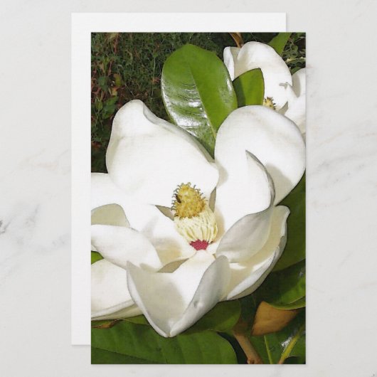 Magnolia Blossom (Front/Back)