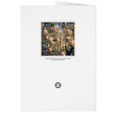 Magnolia Blossom (Back)