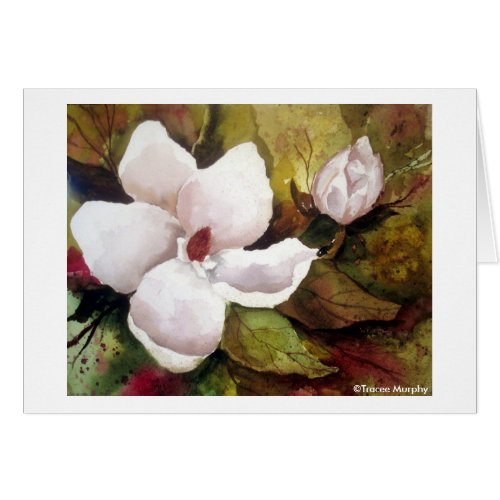 Magnolia  Blossom