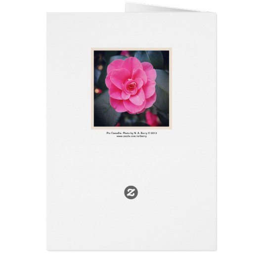 Magnolia Blossom (Back)