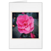 Magnolia Blossom (Front)