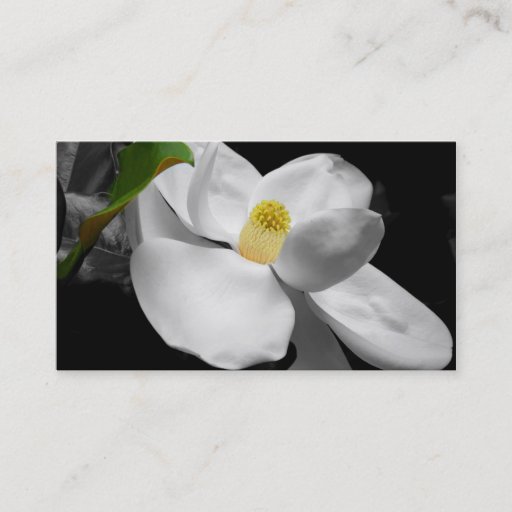 Customizable Magnolia Blossom Business Card