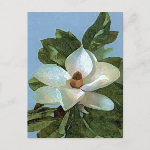 Magnolia Blossom Flower Postcard