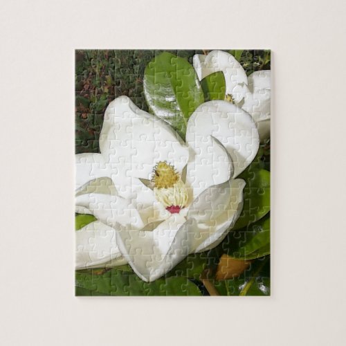 Magnolia Blossom Jigsaw Puzzle