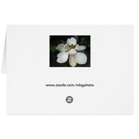 Magnolia Blossom.jpg (Back Horizontal)