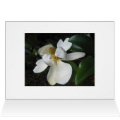 Magnolia Blossom.jpg (Inside Horizontal (Top))