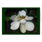 Magnolia Blossom.jpg (Front Horizontal)