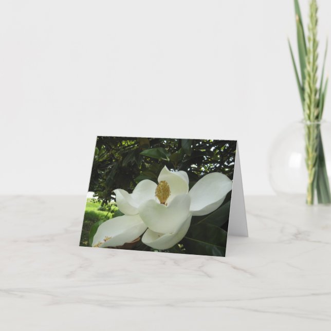 Magnolia Blossom Note Card (Front)