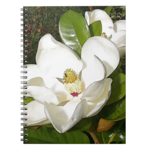 Magnolia Blossom Notebook