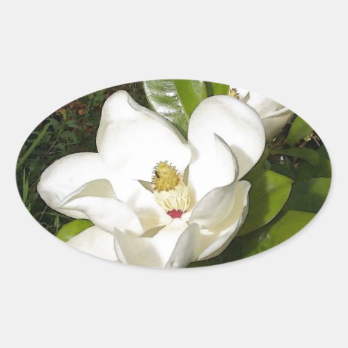 Magnolia Blossom Oval Sticker