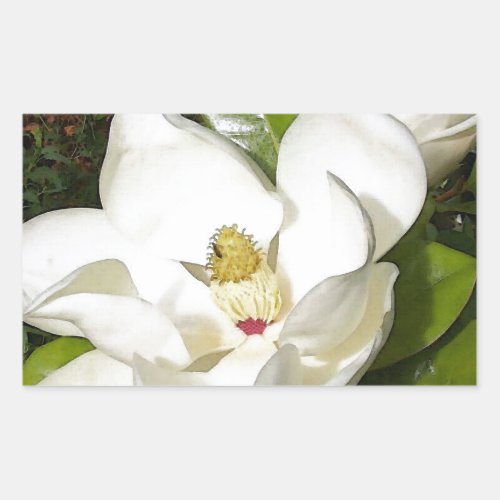 Magnolia Blossom Rectangular Sticker