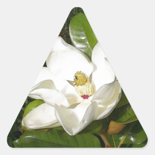 Magnolia Blossom Triangle Sticker